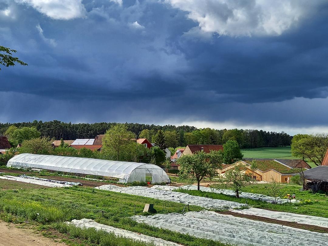 Alternative Landwirtschaft Alawi GmbH Nutzerbild